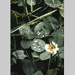 Enjoy Cozy Romance Hills Forest Gardens Views Sauna Whirlpool Bath *