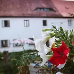 Enjoy Cozy Romance Hills Forest Gardens Views Sauna Whirlpool Bath *