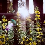 アパート Enjoy Cozy Romance Hills Forest Gardens Views Sauna Whirlpool Bath *