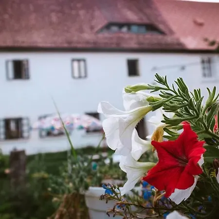 Nest&Rest Nature Home Spa Enjoy Cozy Romance *