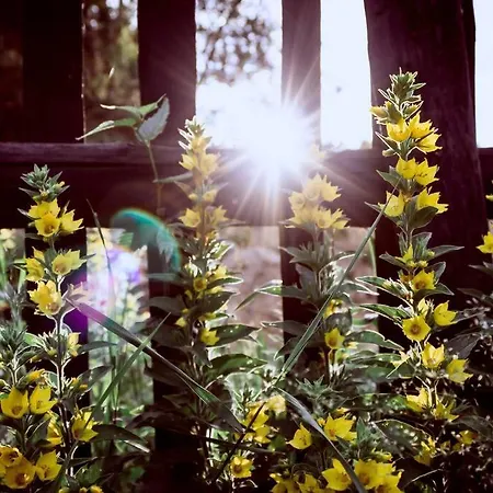 Apartment Nest&Rest Nature Home Spa Enjoy Cozy Romance *