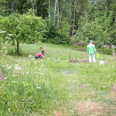 Enjoy Cozy Romance Hills Forest Gardens Views Sauna Whirlpool Bath Apartment