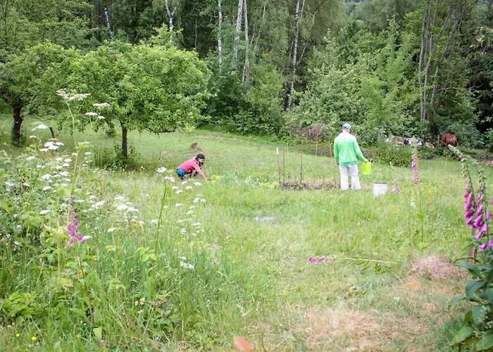 Enjoy Cozy Romance Hills Forest Gardens Views Sauna Whirlpool Bath アパート